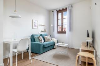 Alquiler Apartamento en Raval