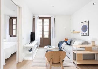 Lloguer Apartament a Raval