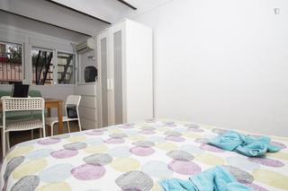 Affitto Monolocale in St. Pere - Sta. Caterina - El Born