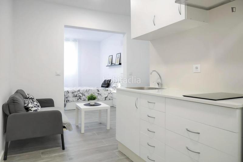 Foto aa93716f-123d-4e0f-9df6-b1b8758d4048. Miete studiowohnung in Opañel Madrid