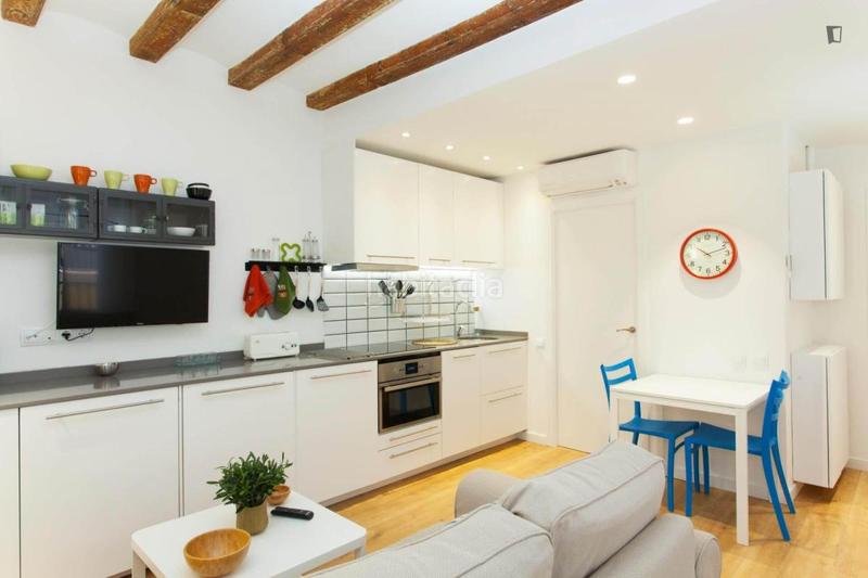 Foto 8b86a8bc-1232-4336-8697-bd876f92a4c7. Lloguer apartament a Barceloneta Barcelona