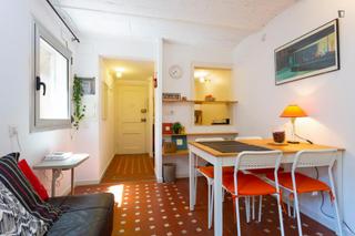 Location Appartement à Vila de Gràcia