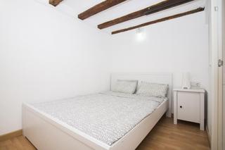 Lloguer Estudi a St. Pere - Sta. Caterina - El Born
