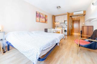 Lloguer Estudi a Sant Francesc