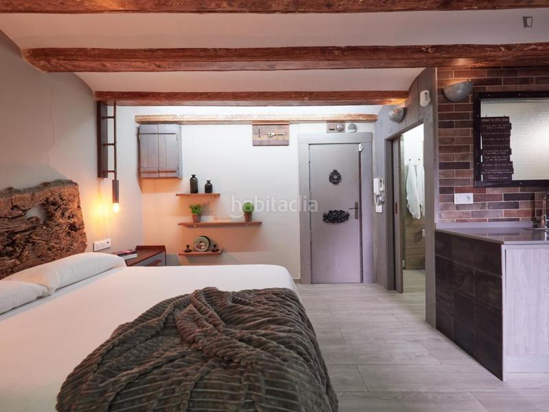 Foto ab076ea9-5053-4579-87a9-6fab5812c781. Alquiler estudio en Raval Barcelona