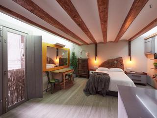 Miete Studiowohnung in Raval