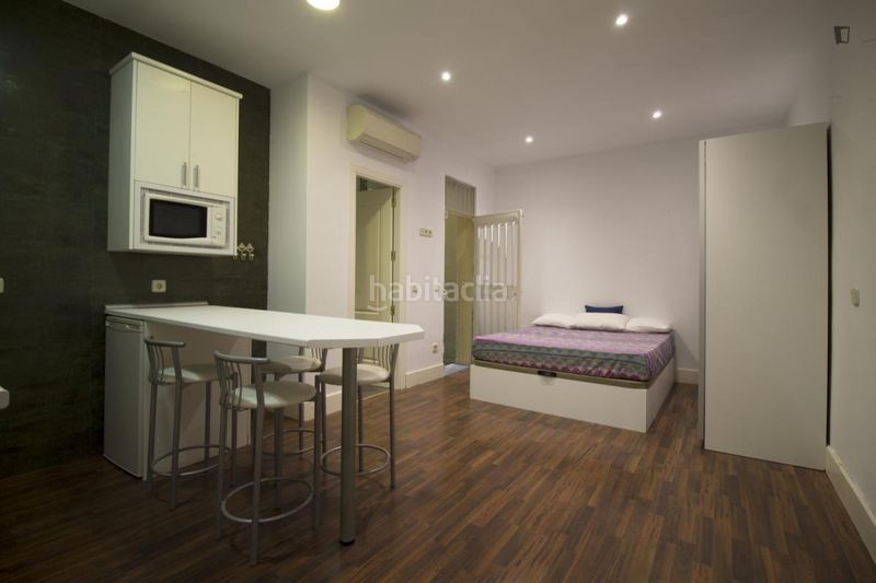Foto cc59254e-d9da-43d3-844c-e55cb09ea63c. Location studio dans Goya Madrid
