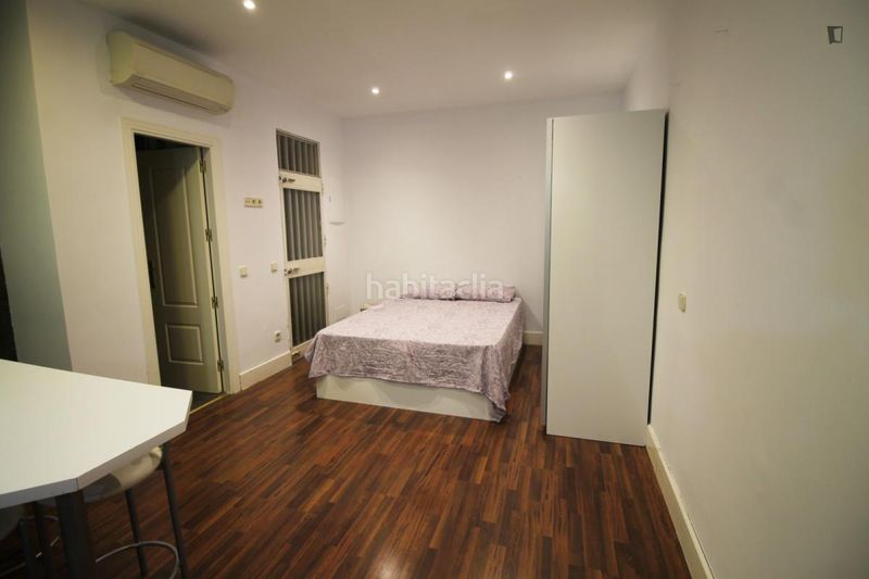 Foto b9dbd1ee-aef5-49a0-a82e-20dac6bbb4be. Rent studio in Goya Madrid