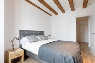 Alquiler Apartamento en Raval