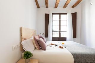 Lloguer Apartament a Raval