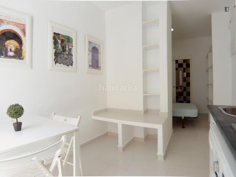 Foto 686e0e69-9c2e-41dd-8147-e0a9cd12b9a1. Location studio dans Puerta del Ángel Madrid