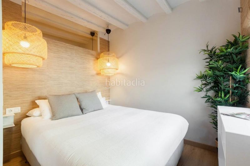 Foto 56e2bece-2019-48ba-aec0-416076197897. Alquiler apartamento en Gòtic Barcelona