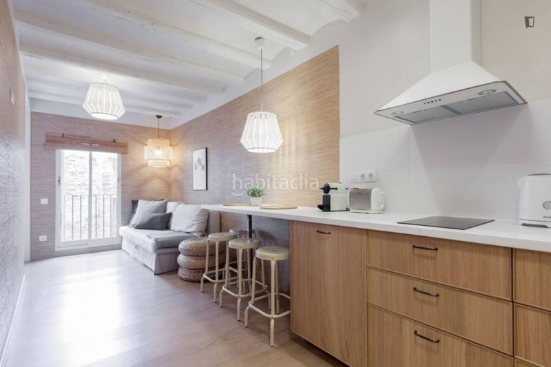 Foto a1c7bc8b-d2b9-4303-a295-b918869cb979. Alquiler apartamento en Gòtic Barcelona
