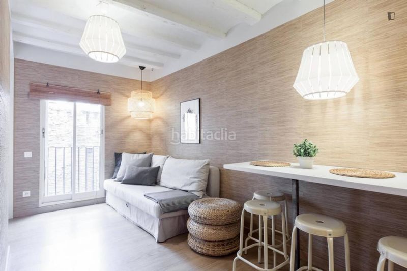 Foto b2f72765-1a56-40a1-9262-f67acc62b6ce. Alquiler apartamento en Gòtic Barcelona