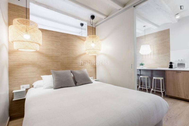 Foto f6b9e65c-140a-47cd-8a94-c90d1e7af562. Alquiler apartamento en Gòtic Barcelona
