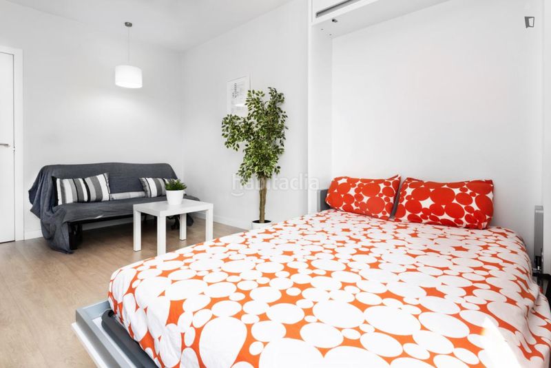 Foto 52d69587-1e02-485e-b10b-58ac543d82c5. Rent studio in Embajadores-Lavapiés Madrid