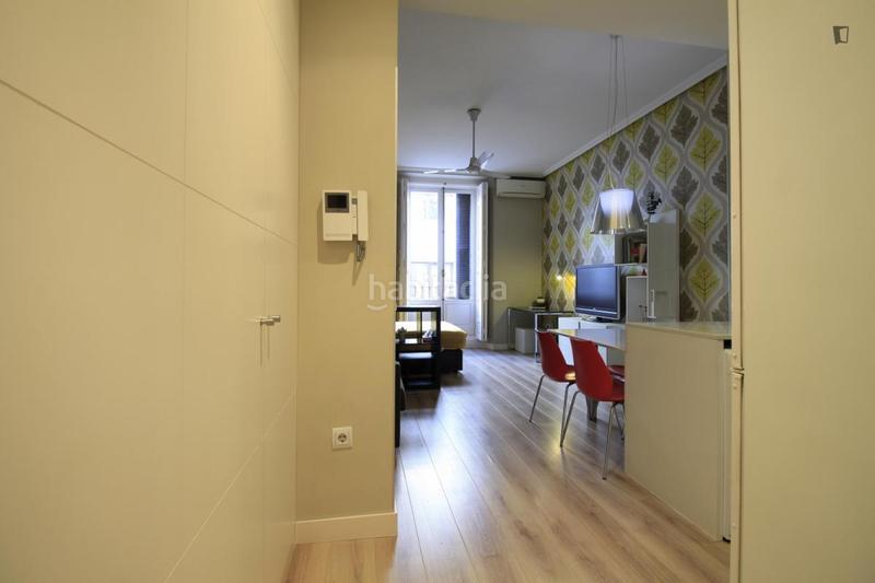 Foto 69d2effa-6f18-42f6-98db-1c3b32b1baad. Alquiler estudio en Sol Madrid