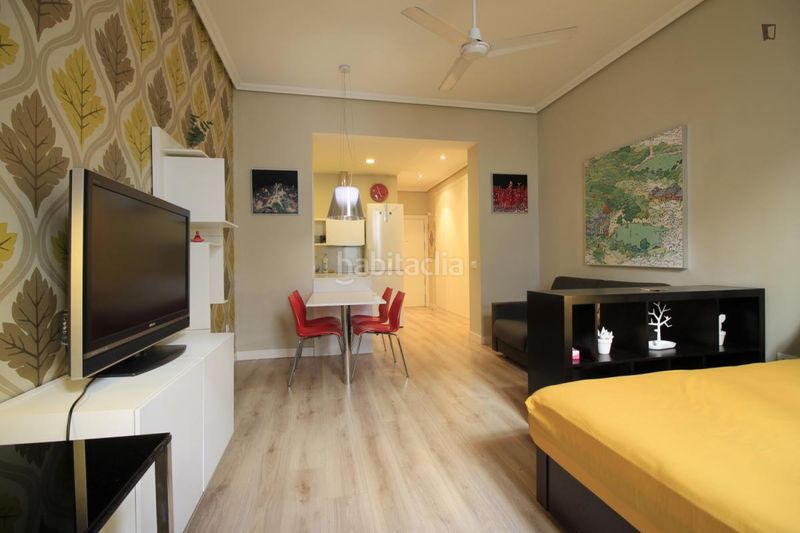 Foto 97dfdda4-8c70-4137-8227-b85d074af057. Location studio dans Sol Madrid