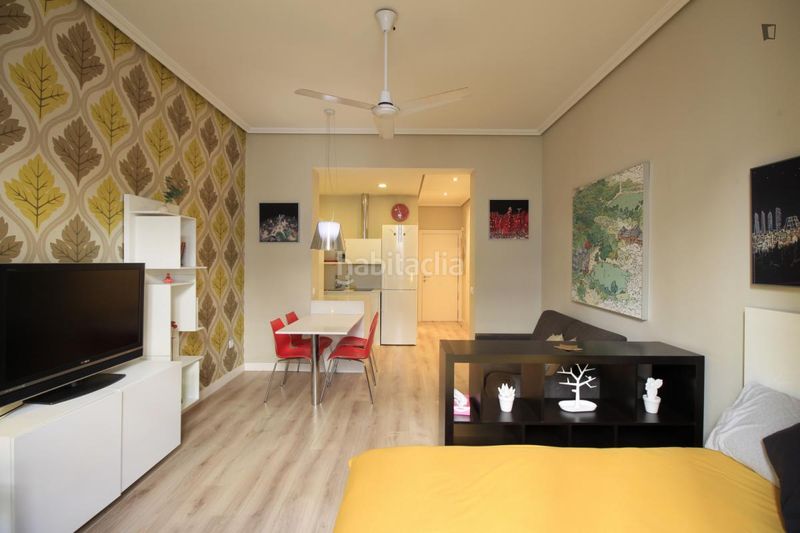 Foto 9e0e96aa-956b-4da5-9cac-0a4d7ee63f19. Location studio dans Sol Madrid