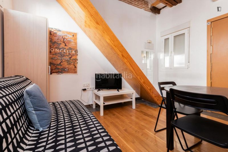 Foto 4d4432ec-4365-455d-9140-53e2fb10ba47. Rent studio in Embajadores-Lavapiés Madrid
