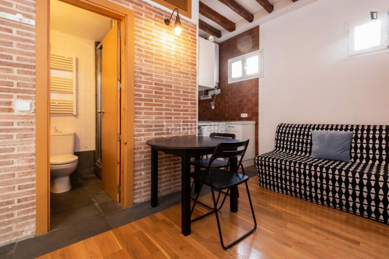 Foto ff10339a-9ccc-40e1-8d18-454ac0add1c3. Rent studio in Embajadores-Lavapiés Madrid