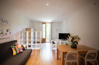 Location Appartement à Gòtic