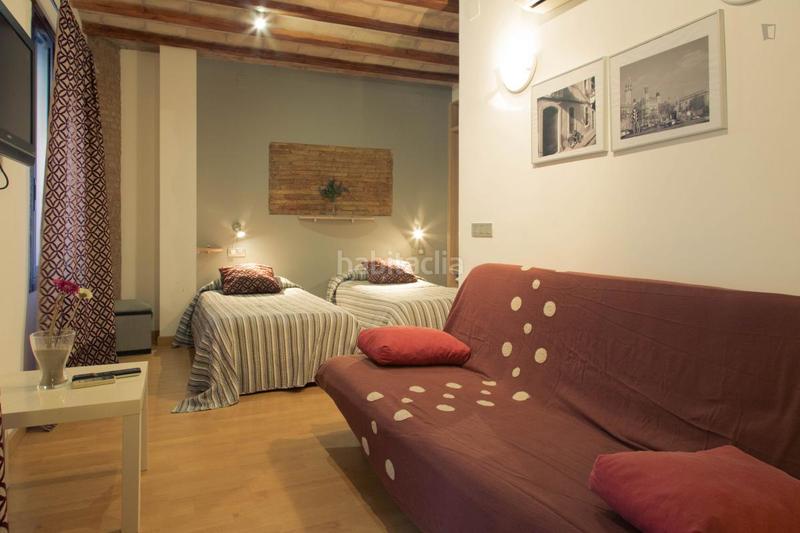 Foto ddc55ab3-c7f1-491c-b213-5c59e0251054. Rent studio with heating in Barceloneta Barcelona