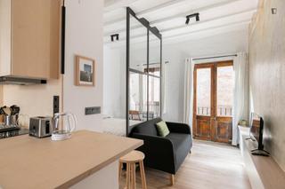Rent Studio in Raval
