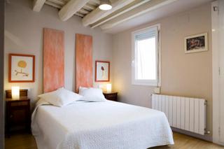 Alquiler Apartamento en Raval