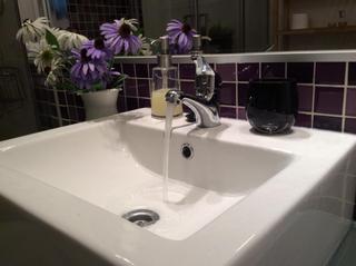 Alquiler Apartamento en Palacio