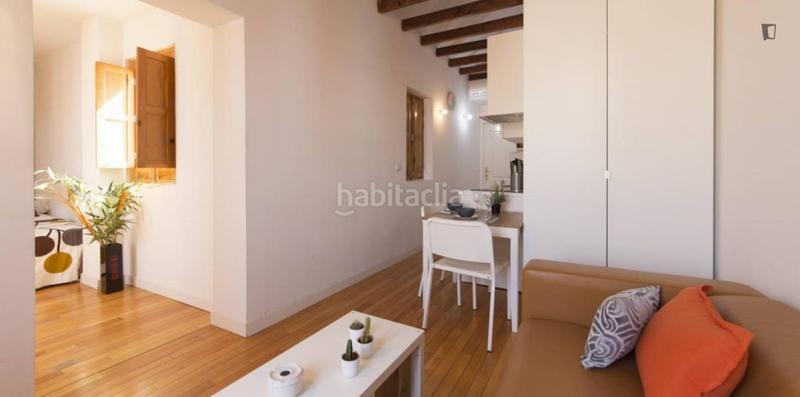 Foto 89dc7a03-e2e8-4506-80a0-3c4a56f073e8. Location studio avec chauffage dans Puerta del Ángel Madrid