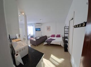 Miete Studiowohnung in Encarnación - Regina