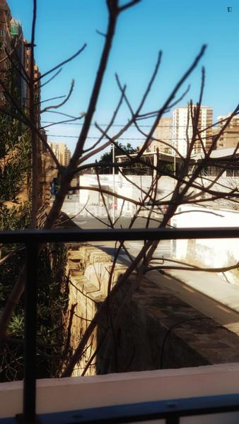 Foto 224f3b78-4ab6-4b36-961e-6d3f8964d3e5. Rent studio in El Cabanyal-El Canyamelar Valencia