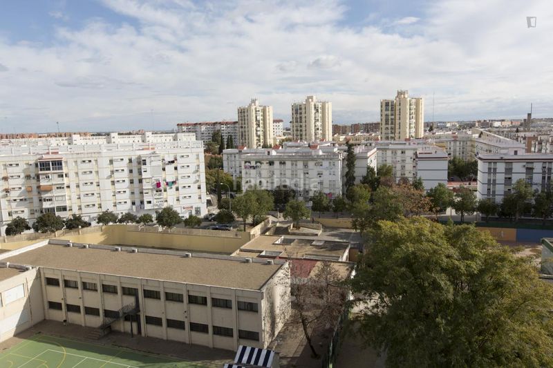 Foto c6ccf0eb-e91f-4aea-bf0c-a168e1c84f9f. Alquiler apartamento en San Pablo Sevilla