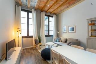 Lloguer Apartament a St. Pere - Sta. Caterina - El Born