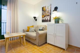 Rent Apartment in Raval