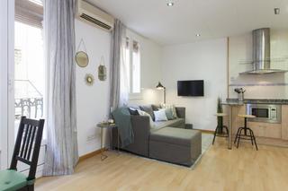 Rent Apartment in Barceloneta