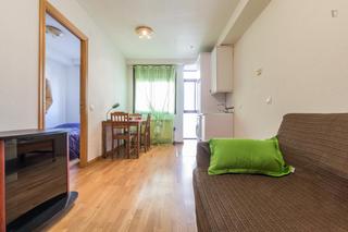 Lloguer Apartament a Puerta del Ángel