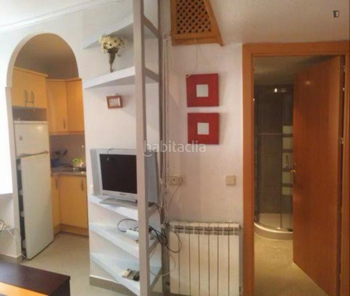 Foto 9f8a072b-80ff-4e7e-b68d-322b27257e1f. Affitto piccolo appartamento in Cuatro Caminos - Azca Madrid