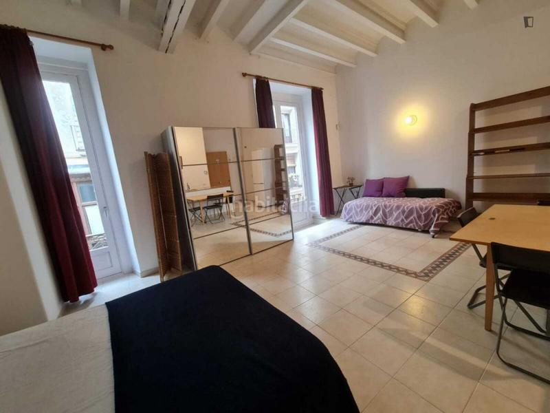 Foto 03465468-ebd5-45fa-80a8-8c438c91eb20. Rent studio in Raval Barcelona
