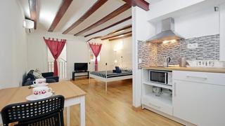 Alquiler Estudio en Raval