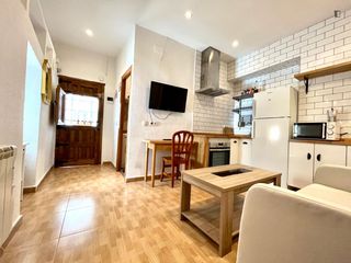 Apartment in Embajadores-Lavapiés
