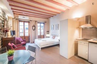 Miete Studiowohnung in St. Pere - Sta. Caterina - El Born