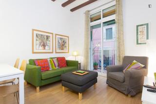 Alquiler Apartamento en St. Pere - Sta. Caterina - El Born