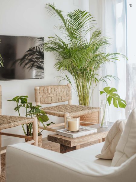 Foto afda1d5e-41b0-4ebf-b592-75f266b820fc. Miete appartement in Tres Forques Valencia
