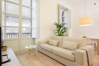 Lloguer Apartament a Gòtic