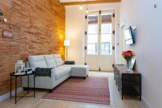 Lloguer Apartament a Raval