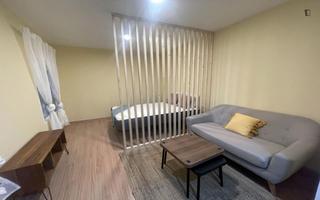 Miete Studiowohnung in Campamento