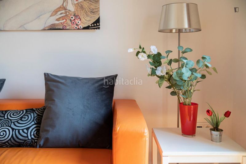 Foto 2f45f739-77b7-40db-a304-017b809c43f8. Lloguer apartament a Puerta del Ángel Madrid