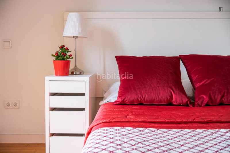 Foto 4451ebd6-d488-48d8-be5d-5fdfaf69747f. Lloguer apartament a Puerta del Ángel Madrid